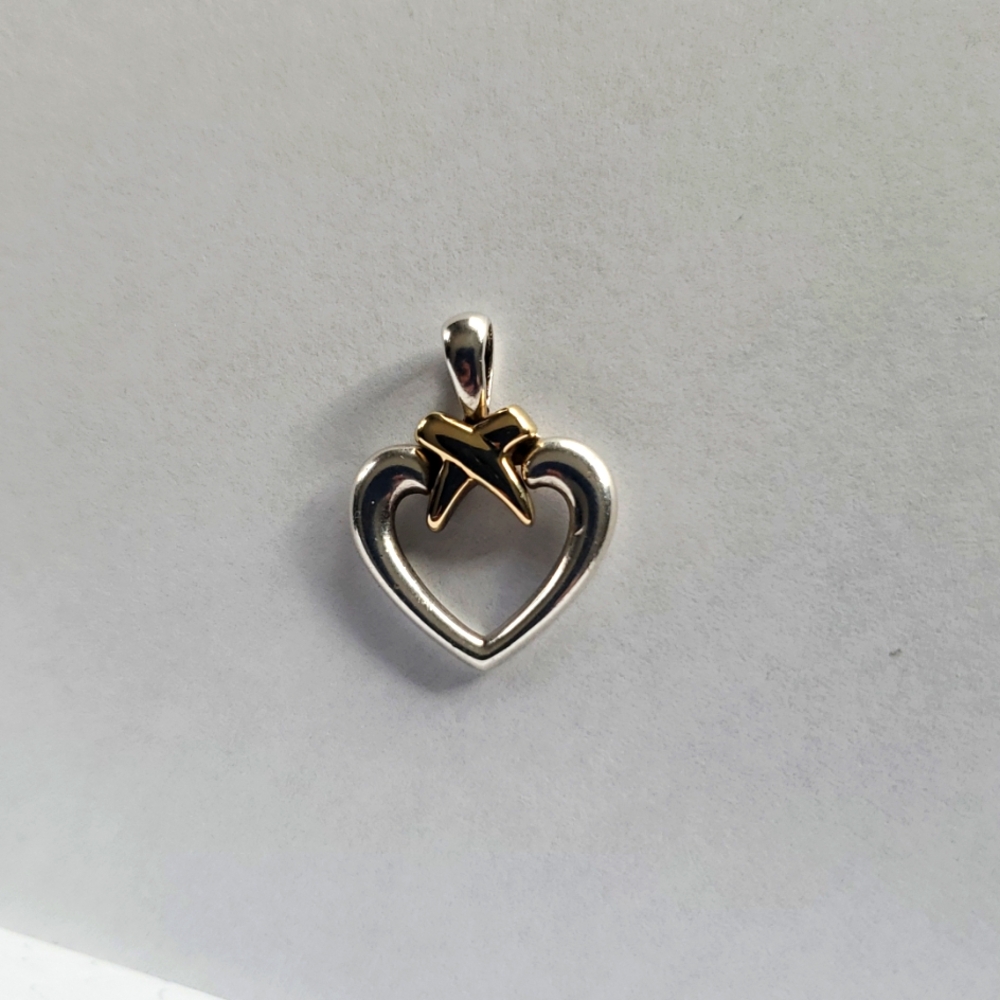 Precious Precious 925 14k Heart Pendant